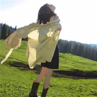 探索白蚁密室