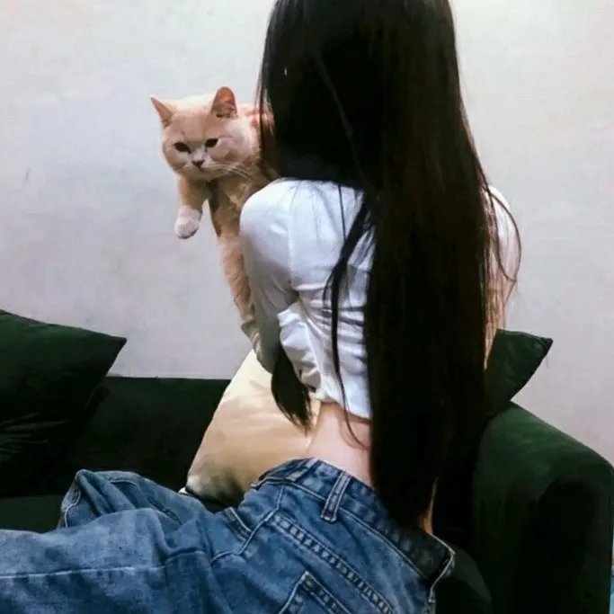 西环的故事